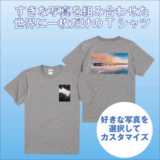 Tシャツ ブラック 両方 (小)